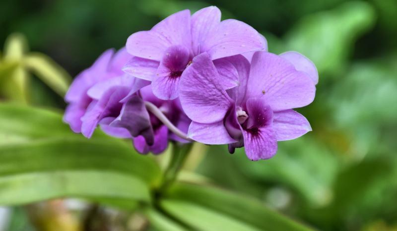 post-237730-0-34112900-1443744759_thumb.