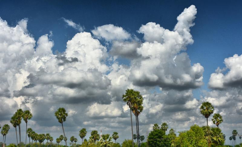 post-237730-0-34229700-1446093829_thumb.