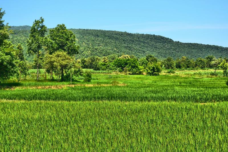 post-237730-0-34297300-1445392300_thumb.