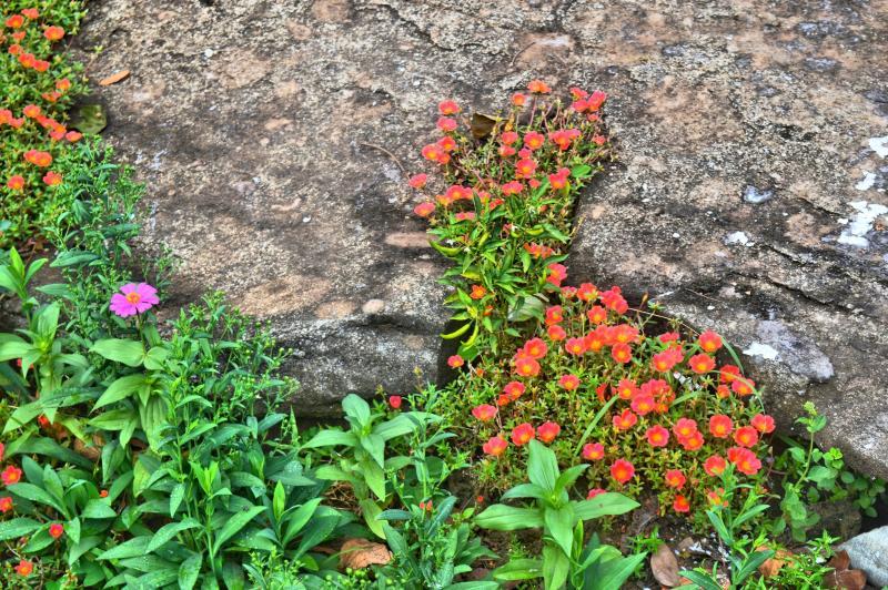 post-237730-0-35608300-1445994302_thumb.