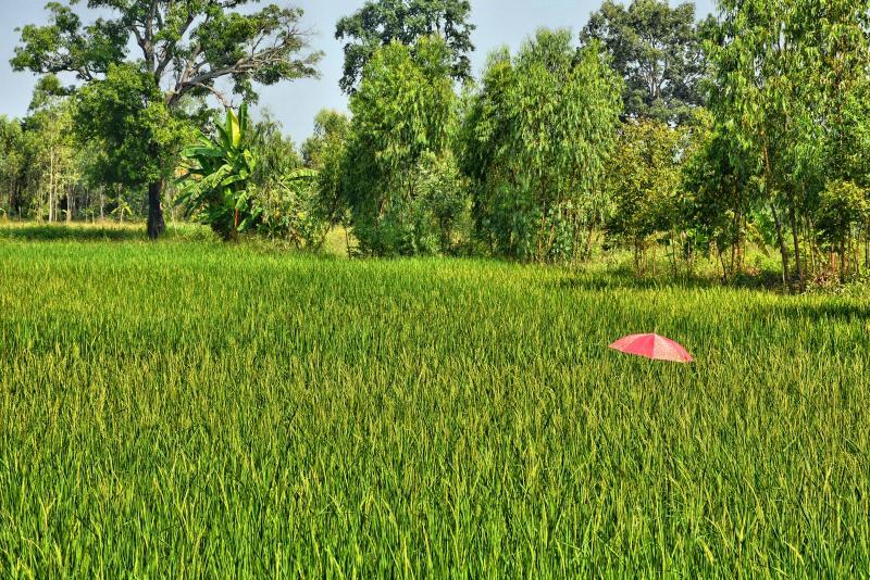 post-237730-0-36393900-1445501656_thumb.