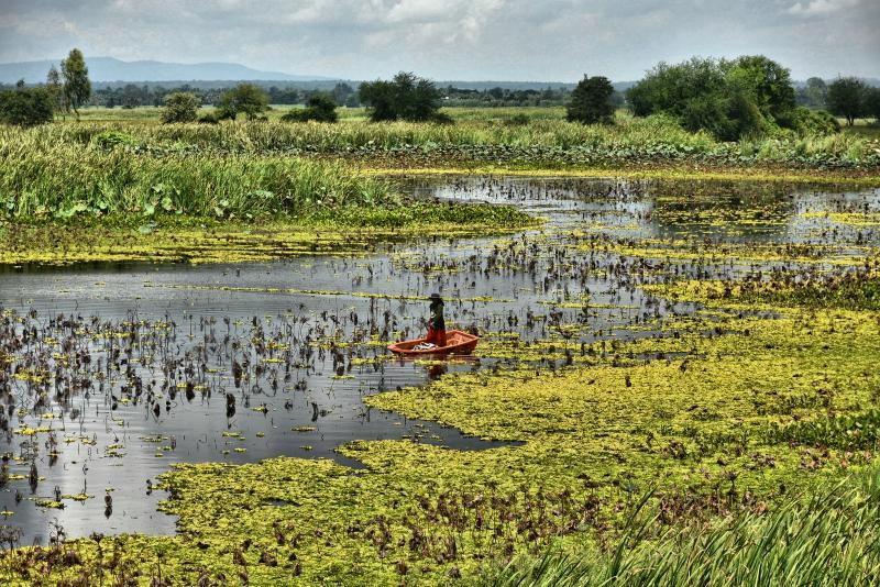 post-237730-0-38588700-1444700074_thumb.