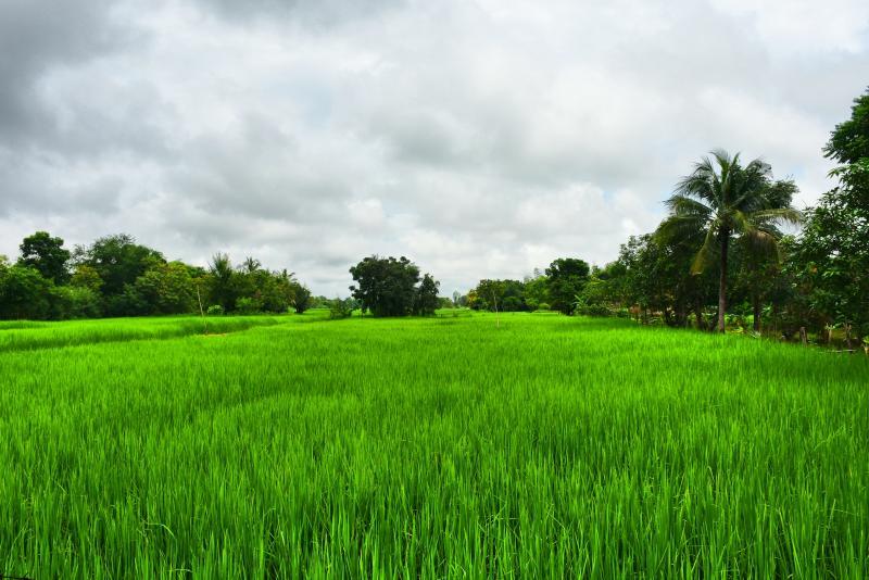 post-237730-0-38793600-1445906243_thumb.