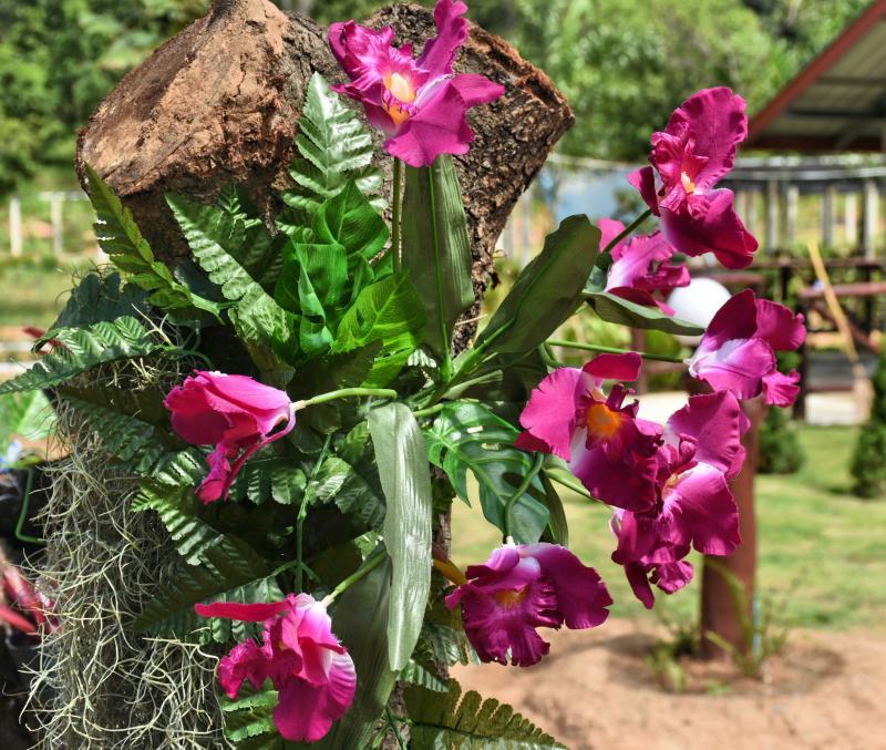 post-237730-0-46143600-1443744943_thumb.