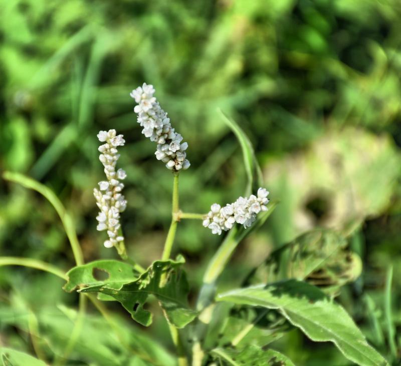 post-237730-0-48436800-1445080353_thumb.