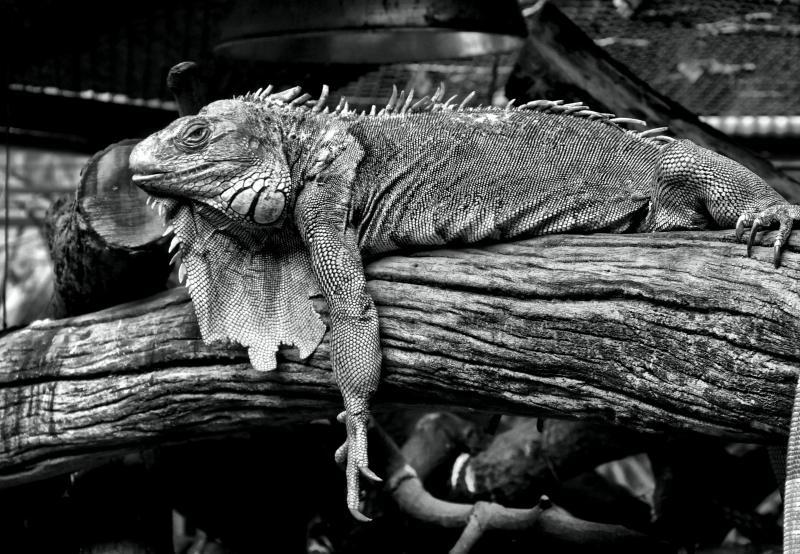 post-237730-0-52027200-1443919091_thumb.