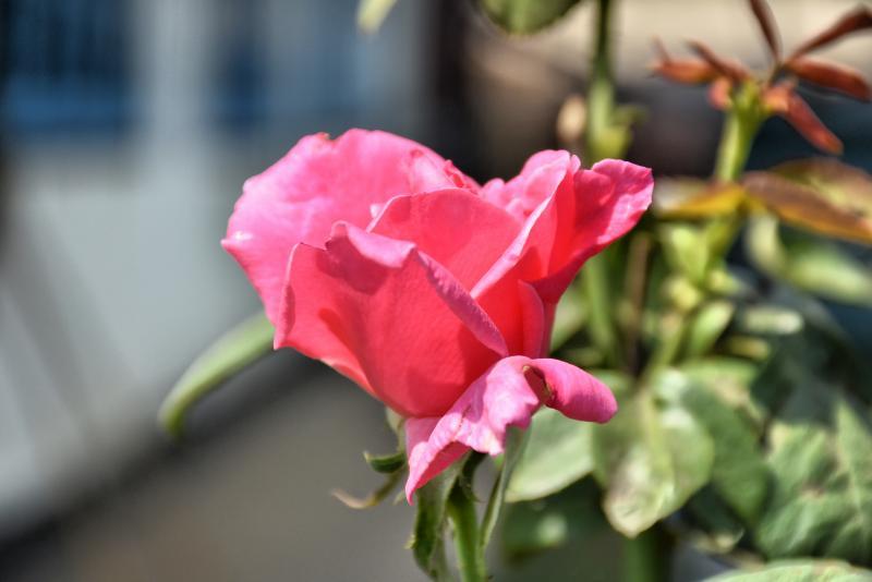 post-237730-0-52188500-1445571192_thumb.