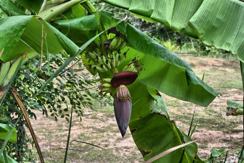 post-237730-0-53875100-1444638654_thumb.