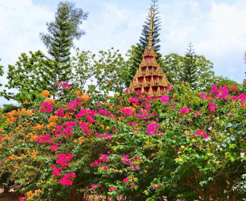 post-237730-0-58085700-1445994266_thumb.