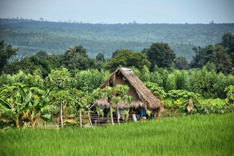 post-237730-0-59676700-1445425531_thumb.