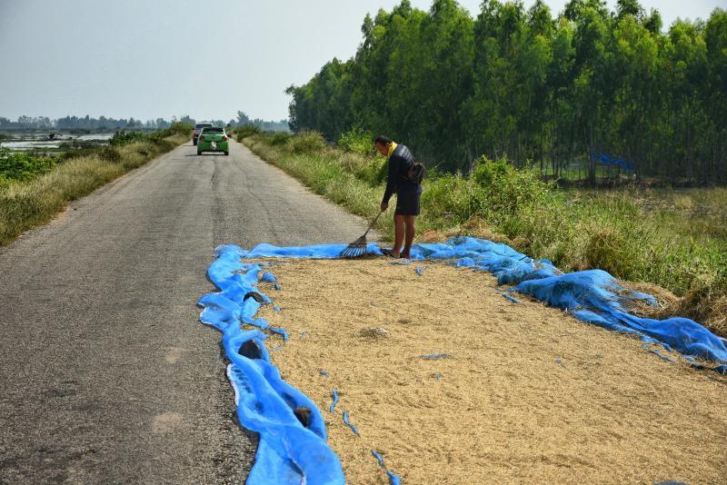 post-237730-0-60840900-1445991944_thumb.