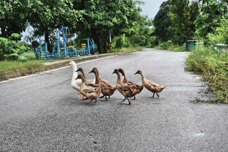 post-237730-0-62434800-1444384307_thumb.