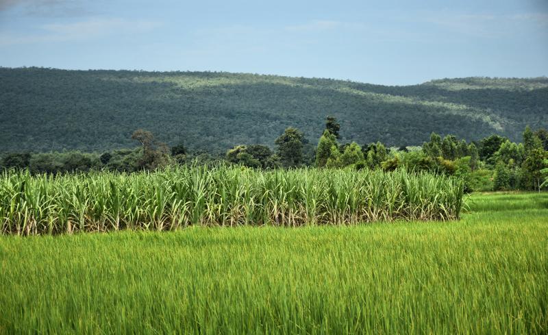 post-237730-0-65636300-1444824342_thumb.