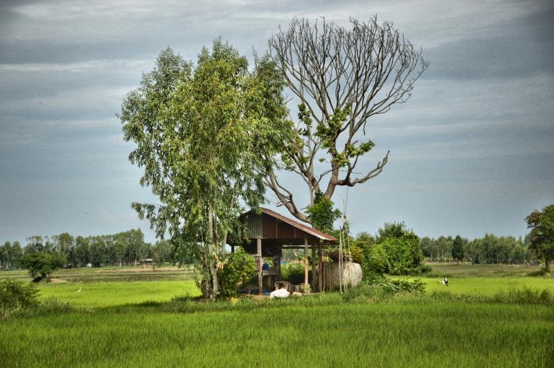 post-237730-0-66195400-1444741475_thumb.