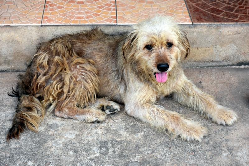 post-237730-0-67776900-1444203478_thumb.