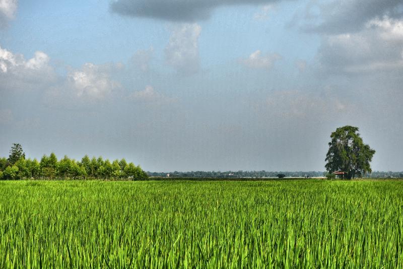 post-237730-0-70521100-1445164155_thumb.