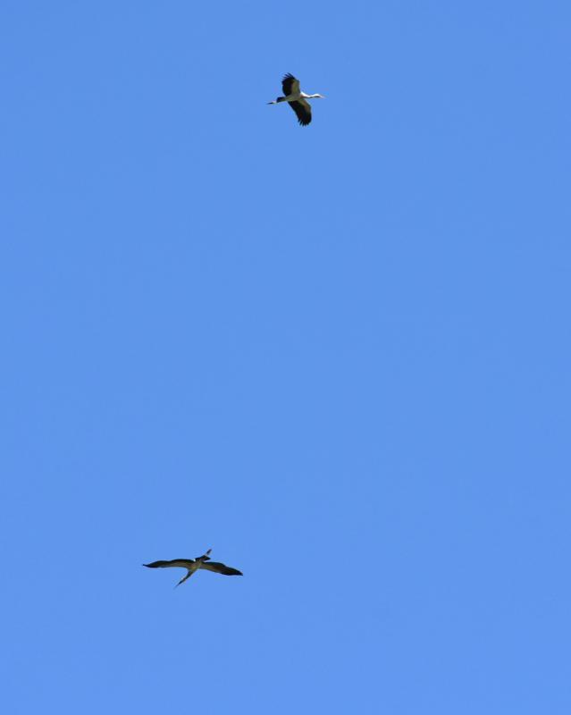 post-237730-0-72245400-1444985064_thumb.