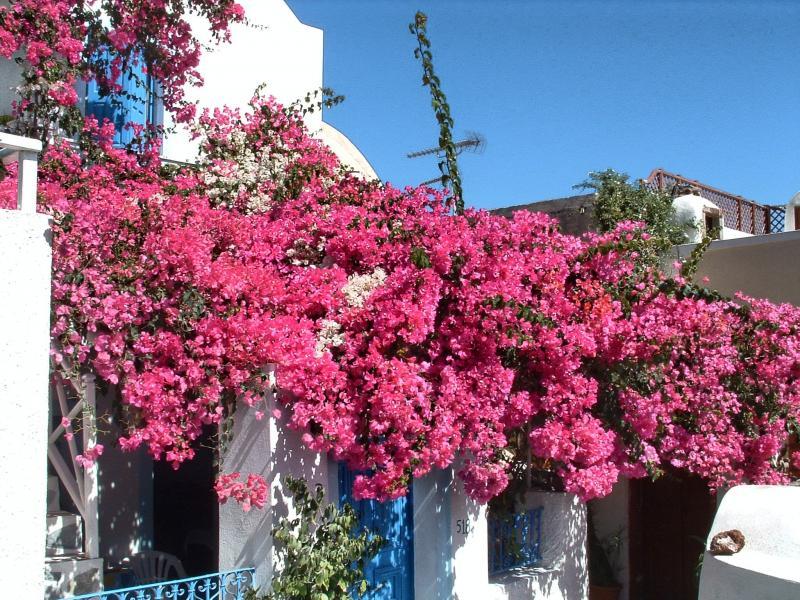 post-237730-0-74790000-1445473076_thumb.