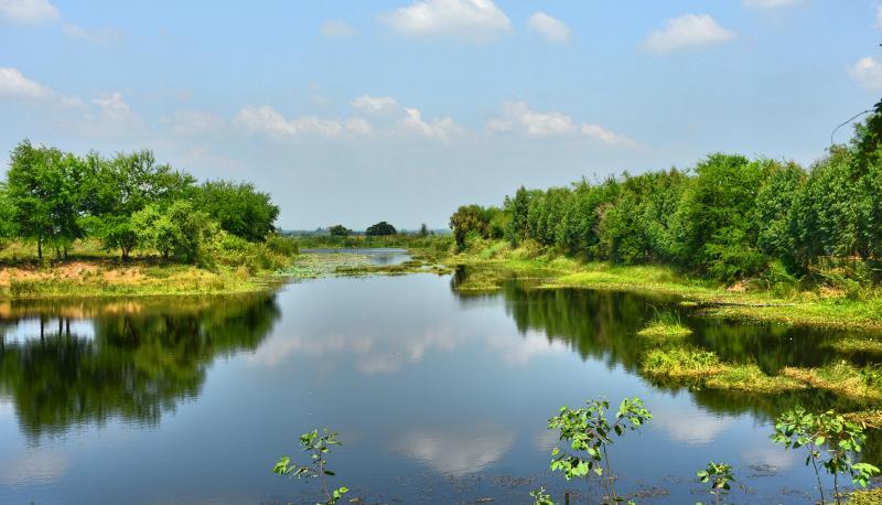 post-237730-0-75891200-1445753901_thumb.