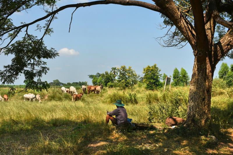 post-237730-0-77663200-1445928007_thumb.