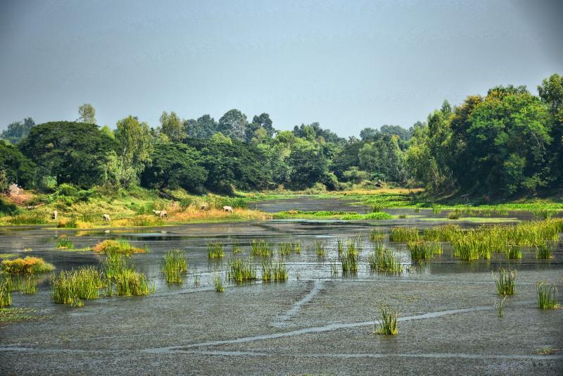 post-237730-0-80023000-1445245549_thumb.