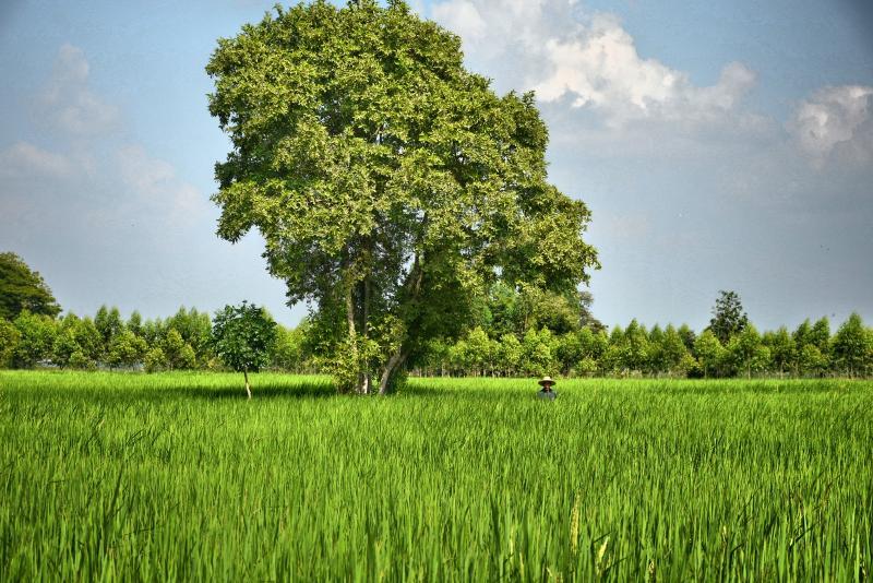 post-237730-0-80338900-1445078641_thumb.