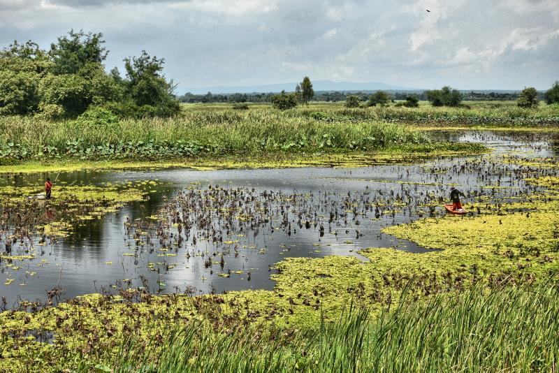 post-237730-0-81205600-1444126487_thumb.