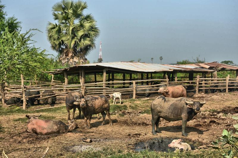 post-237730-0-81353800-1445589109_thumb.