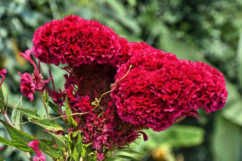 post-237730-0-82493400-1445570927_thumb.