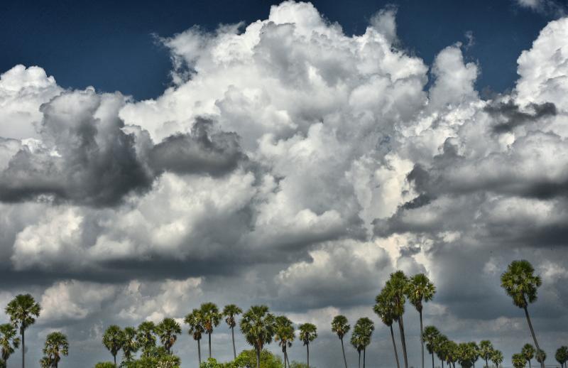 post-237730-0-84269000-1446093805_thumb.