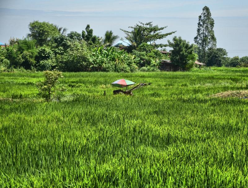 post-237730-0-85759000-1444643782_thumb.