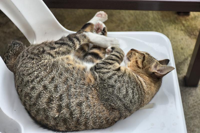 post-237730-0-91991200-1443838526_thumb.