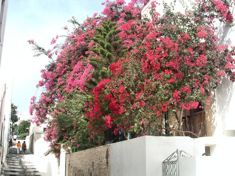 post-237730-0-93841700-1445473023_thumb.