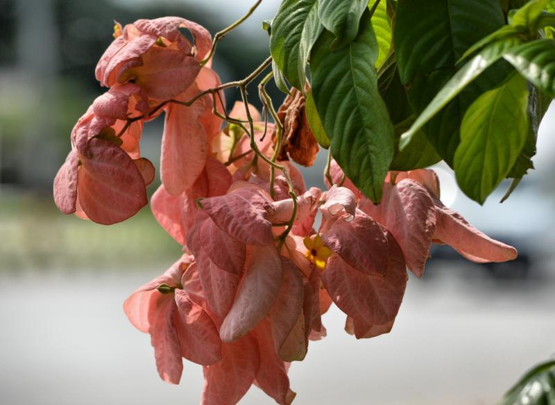 post-237730-0-94338400-1443744817_thumb.