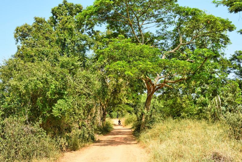 post-237730-0-97627200-1445754722_thumb.