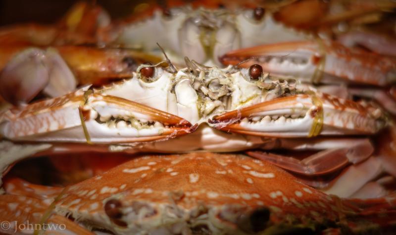 post-242846-0-16750800-1445672886_thumb.