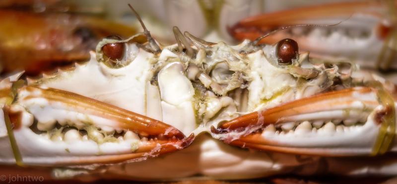 post-242846-0-40532700-1445673103_thumb.