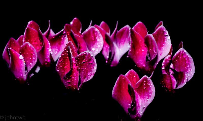 post-242846-0-61032700-1445327061_thumb.