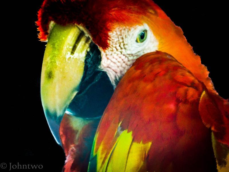 post-242846-0-74405300-1445104816_thumb.