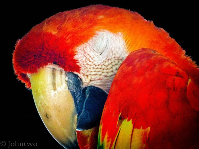 post-242846-0-80155800-1445104847_thumb.