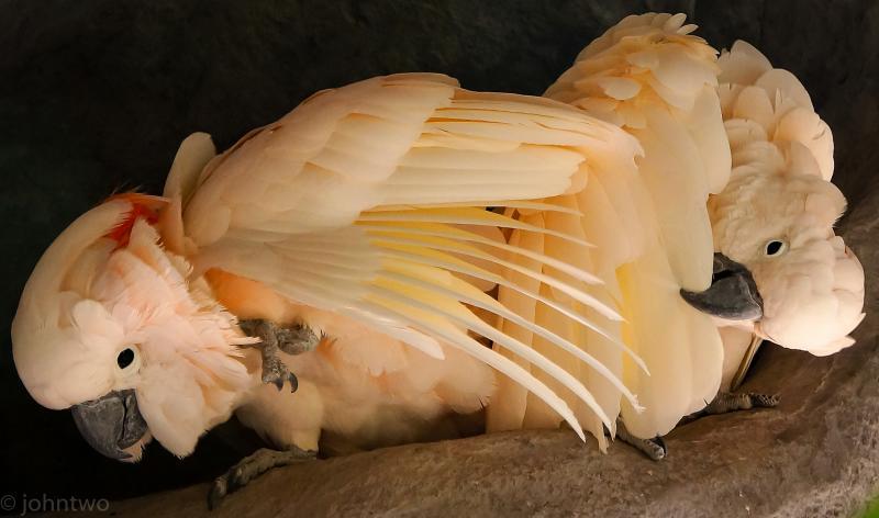 post-242846-0-89847000-1444203972_thumb.