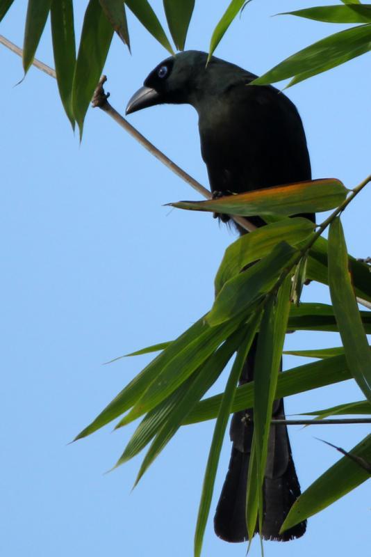 post-25665-0-19144700-1445582898_thumb.j