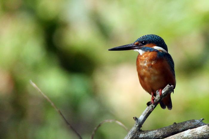 post-25665-0-27705100-1445582952_thumb.j