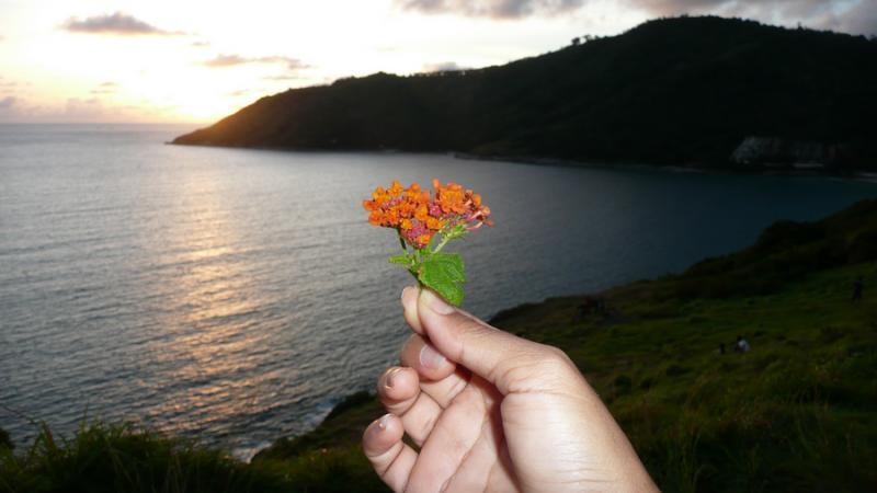 post-35489-0-03431600-1446044659_thumb.j