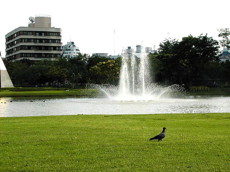 post-35489-0-06468400-1445511363_thumb.j