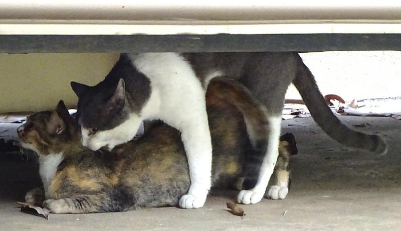 post-35489-0-09101600-1445688610_thumb.j