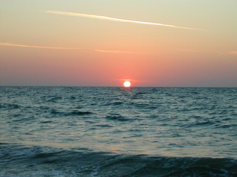 post-35489-0-29117800-1444132738_thumb.j