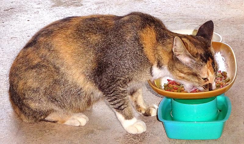 post-35489-0-33764200-1445162155_thumb.j