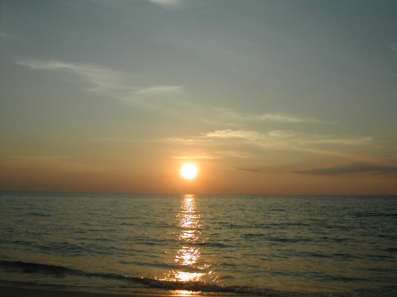 post-35489-0-36607200-1444307864_thumb.j