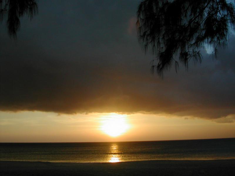 post-35489-0-44490100-1443894084_thumb.j